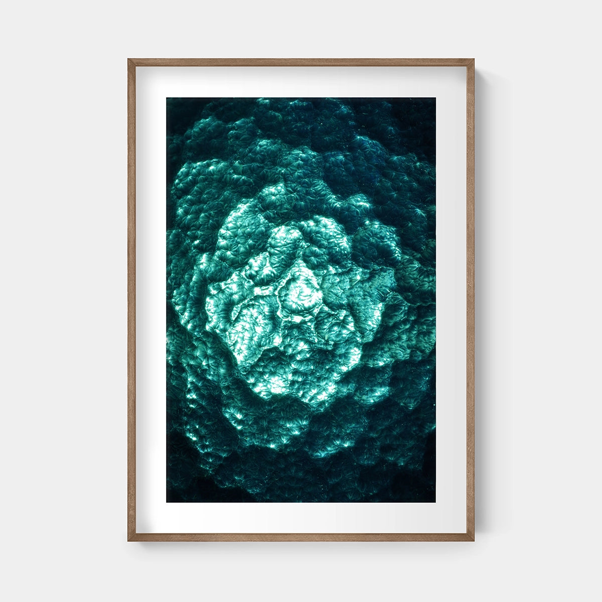 Radiant Matter No. 1